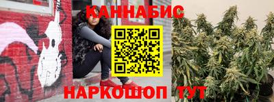 крисы Ирбит